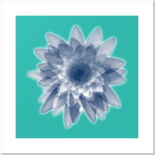 Lotus flowers in blue Posters and Art